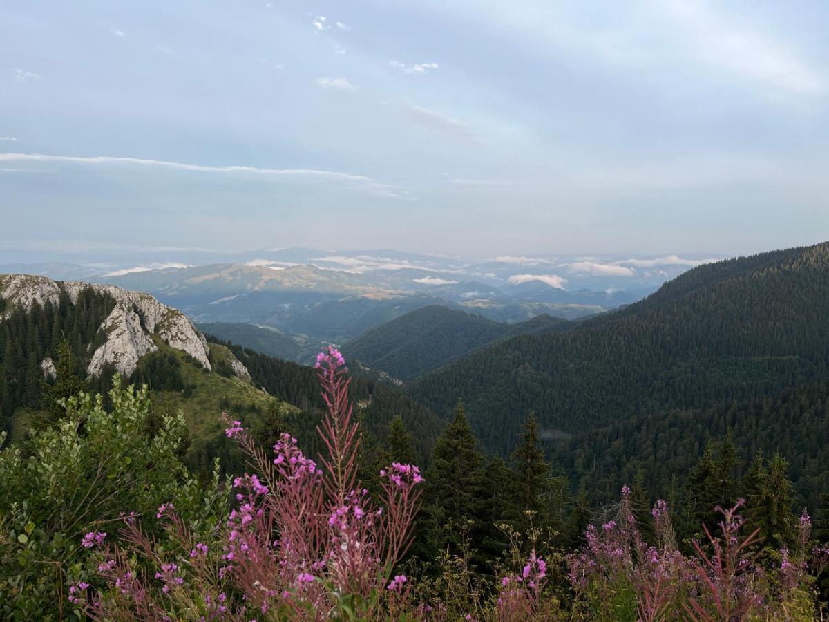 Lux Apartman A18&SPA Centar Kopaonik Extérieur photo